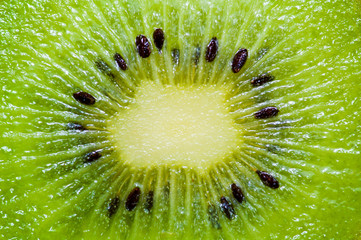 kiwi slice macro 