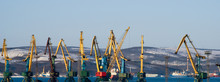 Port Of Murmansk. Working Cranes. It Is Winter.
