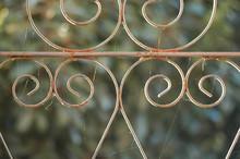 Rustic Wrought Iron Garden Gate Close-up