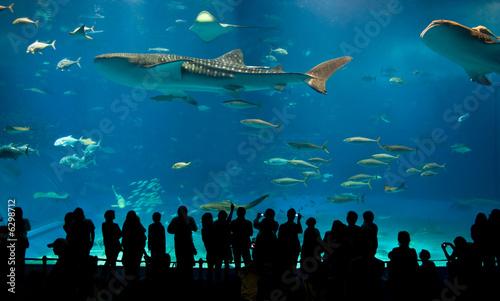 Fotografía World's largest acrylic aquarium