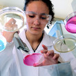 scientist - laboratory of biology