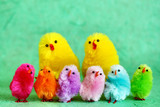 Fototapeta Miasta - Family of easter chicks