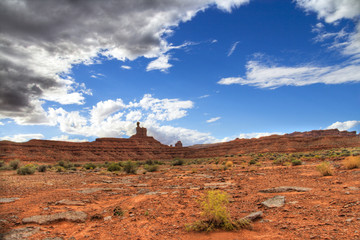 Wall Mural - Valley of the Gods, Utah. HDR image.