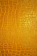 Golden dragon texture