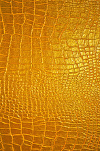 Golden Dragon Texture