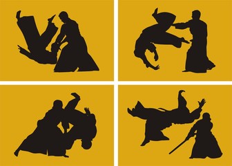 Wall Mural - Aikido