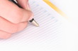 © fox17 - Hand with the handle,  daily log,  document