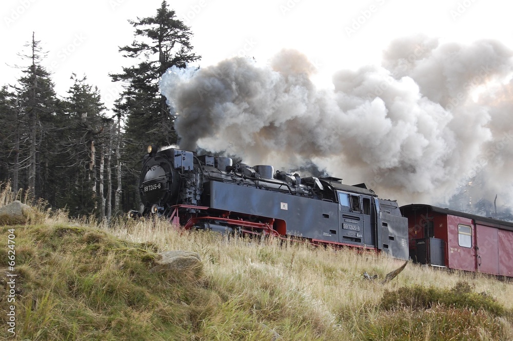 Brockenbahn - obrazy, fototapety, plakaty 