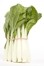 Chinese Vegetable (Bok Choy)