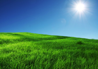 Field and sunny sky