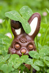 easter rabbit and clovers in a garden