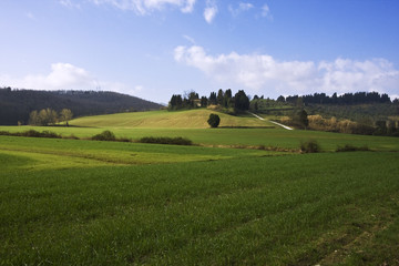 Wall Mural - Viva la Toscana