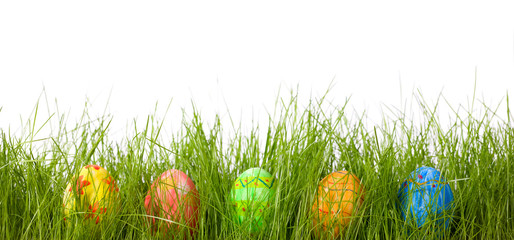 Wall Mural - Easter eggs in fresh green grass