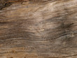 © Chris Galbraith - driftwood macro