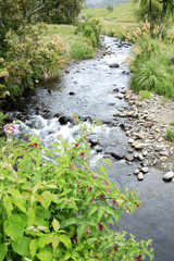 Canvas Print - Stream through valley