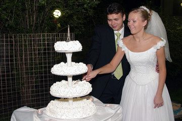 Newlywed couple cutting cake