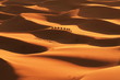 Leinwandbild Motiv Sahara desert