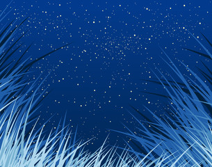 Wall Mural - bluegrass
