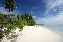 Ile Déserte Des Maladives 