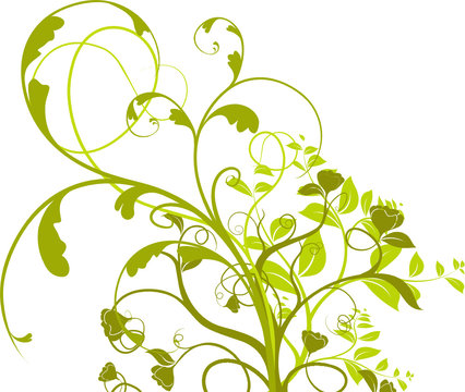  vecteur série - plante à fleurs isolé sur fond blanc