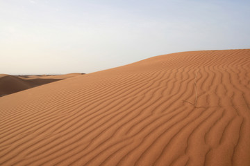 Wall Mural - Dune dans le Sahara marocain