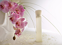 Orchids And Perfume