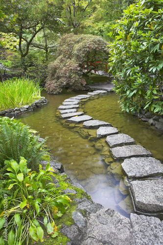 Naklejka dekoracyjna Footpath through a pond.