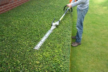 hedge trimming