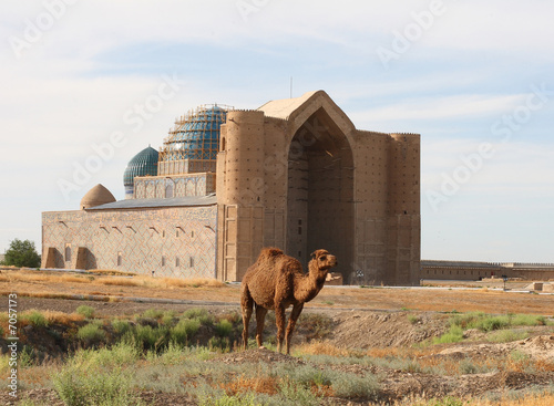 Tapeta ścienna na wymiar Camel before a historical construction