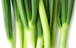 Scallion green spring onion