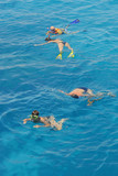 Fototapeta Do akwarium - Snorkeling in pairs