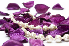 Pearls On Purple Petals