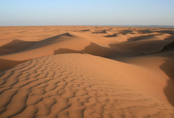 Wall Mural - Dunes du Sahara marocain