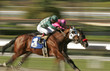 Abstract Motion Blur of Horse Race