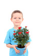 © matka_Wariatka - boy with potted flower