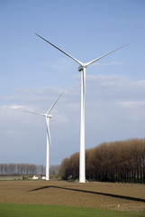 Wall Mural - green energy