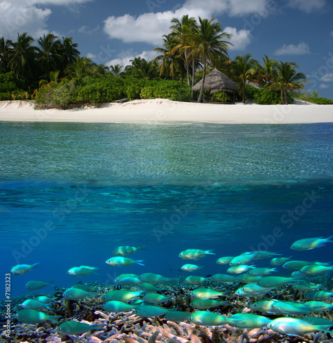 Foto-Doppelrollo - Dreamisland  (von Melany Dieterle)