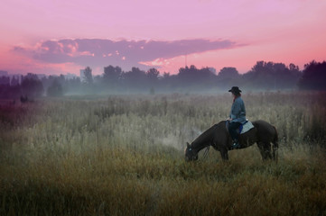 Cowboy  in the steppe