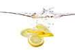 Leinwandbild Motiv Lemon Slices in Water