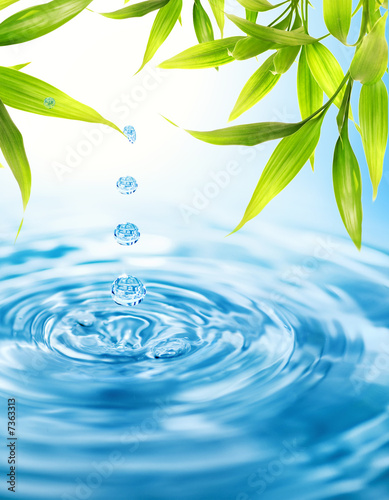 einzelne bedruckte Lamellen - Water drops folling from a bamboo leaf (von Nejron Photo)