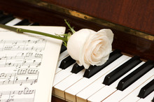 White Rose Over Music Sheets And Piano Keys