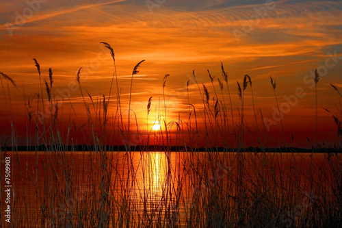 Foto-Lamellenvorhang - Sunset (von Lars Koch)