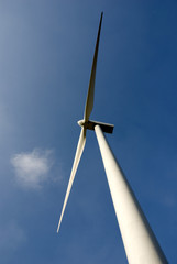 Wall Mural - green energy