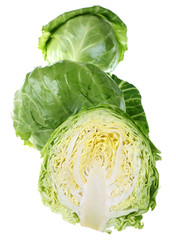 Cabbage fresh