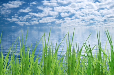  Green grass, sky and water