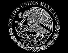 Mexican Flag Logo