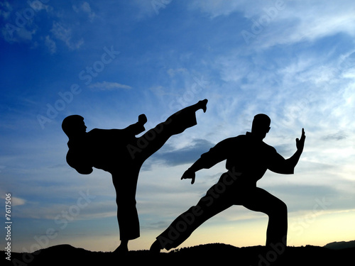 Foto-Stoff bedruckt - Karate (von Dimitar Marinov)