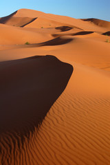  Sahara Desert