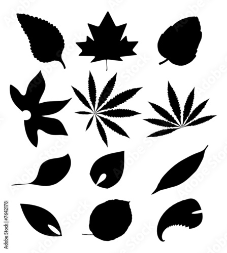 Leaves Silhouette Clip-art vector de Stock | Adobe Stock