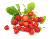 Wild Strawberries With Leaves 